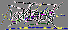 Проверочный код